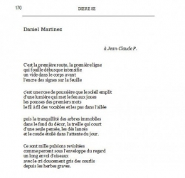 PIROTTE 7.jpg