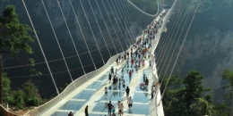 PONT BLOG.jpg