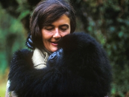 Dian_Fossey_1.jpg