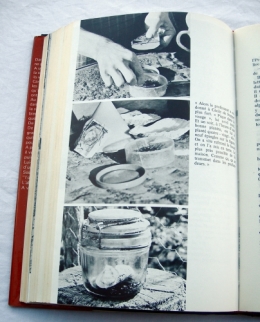 philippe alfonsi,patrick pesnot,l’œil du sorcier,sorcellerie,ésotérisme,occultisme,terroir,livre,témoignage,enquête,livres