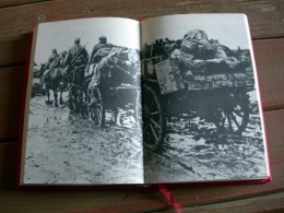 feldmaréchal-général friedrich paulus,maréchal paulus,walter gÖrlitz,stalingrad,ww2,seconde guerre mondiale,front de l'est,grandes batailles,biographies,histoire,livres