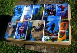 robin hobb,l’assassin royal,cycle de l'assassin royal,fantasy,heroic-fantasy,saga,fitz chevalerie,castelcerf,royaume des six-duchés,livres