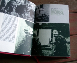 feldmaréchal-général friedrich paulus,maréchal paulus,walter gÖrlitz,stalingrad,ww2,seconde guerre mondiale,front de l'est,grandes batailles,biographies,histoire,livres