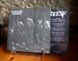 woods of infinity,7'ep,total holocaust records,black metal