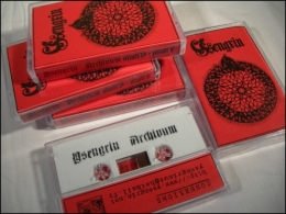ysengrin,archivum mmv-mmx,démo-k7,demo-tape,pro-tape,black metal