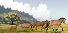 Cheval.jpg