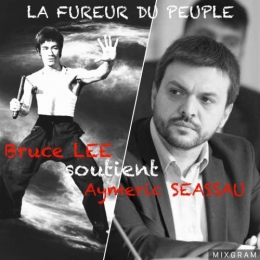 pcf,mélenchon,affiches,satires,ridicule,sabourin