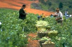 afrique, Etats-Unis, agriculture, sécheresse, fao, G20, sahel