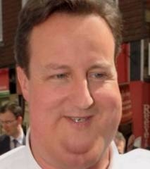 david-cameron-apres_22137_w460.jpg