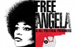angela davis,noire,communiste,racisme,usa