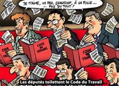 ani,députés,socialistes,code du travail