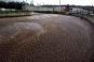 environnement-eau-epurat-64.jpg