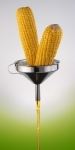 agrocarburant.jpg
