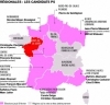 regionales.jpg