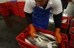 pêche.jpg
