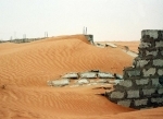 desert.jpg