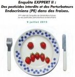 fraises.jpg