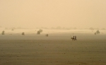sahel.jpg