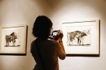 musée pau.jpg