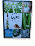 vert.gif