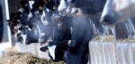 agro.jpg