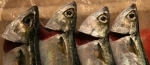 poisson.jpg