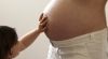 gestation.jpg