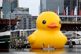 australie.jpg