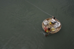 kochi.jpg
