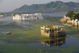 Udaipur inde.jpg