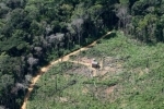 amazonrainforest.jpg