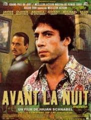 avant la nuit.jpg