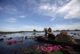 cambodge.jpg