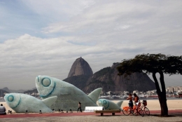 rio.jpg