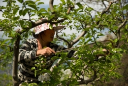 chine.jpg
