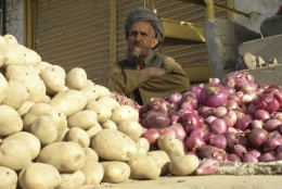 pakistan.jpg