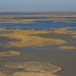 littoral.jpg