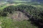 h_9_ill_1126213_amazonie-foret.jpg