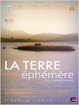 terre.jpg