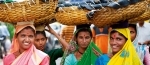 inde.jpg