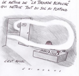 CHIMULUS.jpg