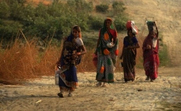 gange.jpg