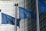 europe.jpg