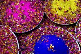 holi.jpg