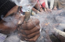 cannabis-Chandigarh.jpg