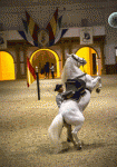 andalousie.gif