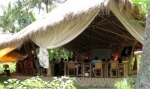 bali.jpg