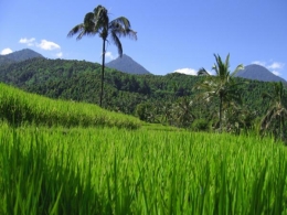 bali.jpg