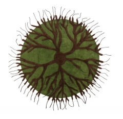 tapis.jpg