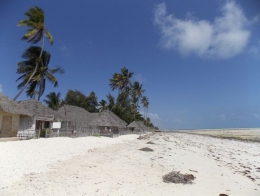 zanzibar.jpg
